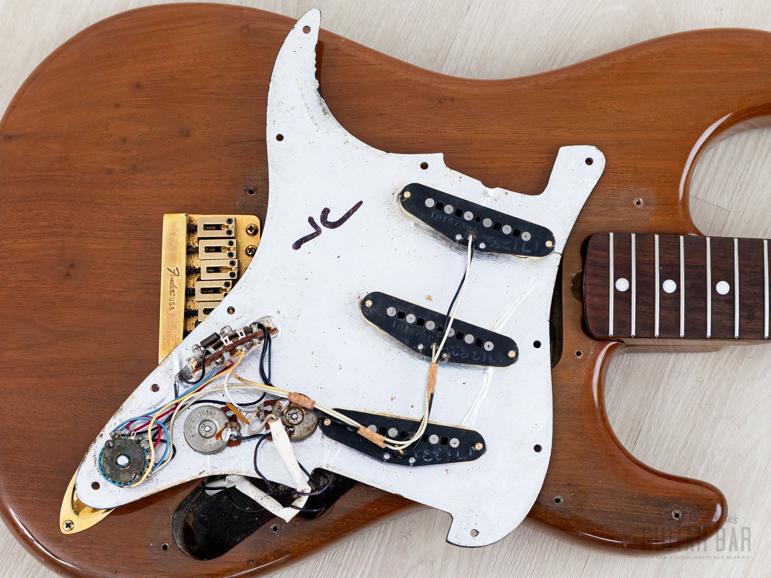 1981 Fender 