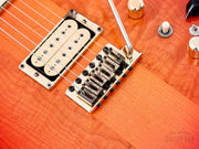 Eagle DiMarzio humbuckers and tremolo close-up