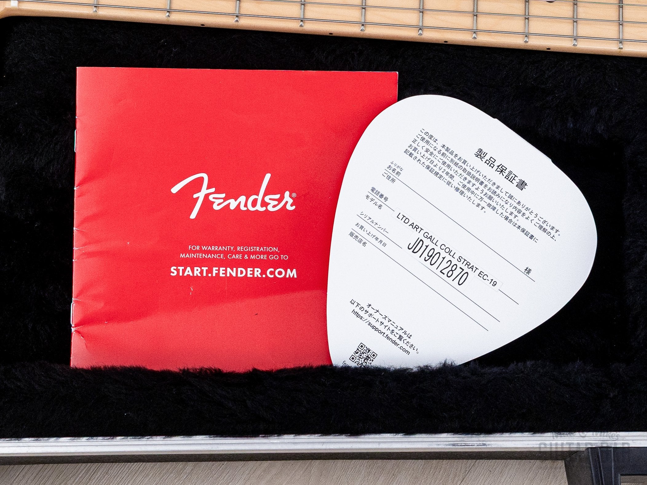 2019 Fender Art Gallery Collection Stratocaster FACE w/ Case & Hangtag