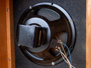 Fender Tremolux 2x10 cabinet speaker close-up