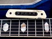 1971 Martin D-41 - L.R. Baggs pickup