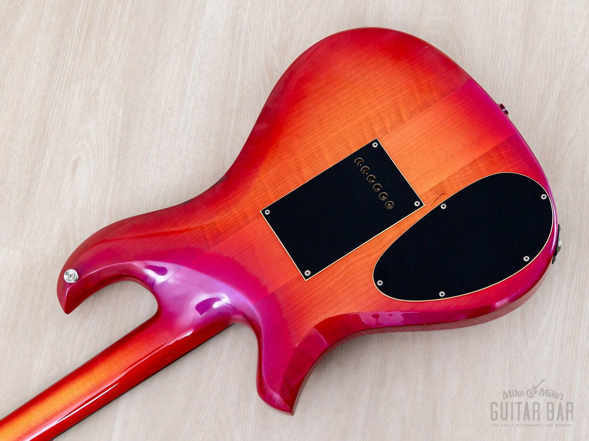 Eagle back body close-up with cavity cover