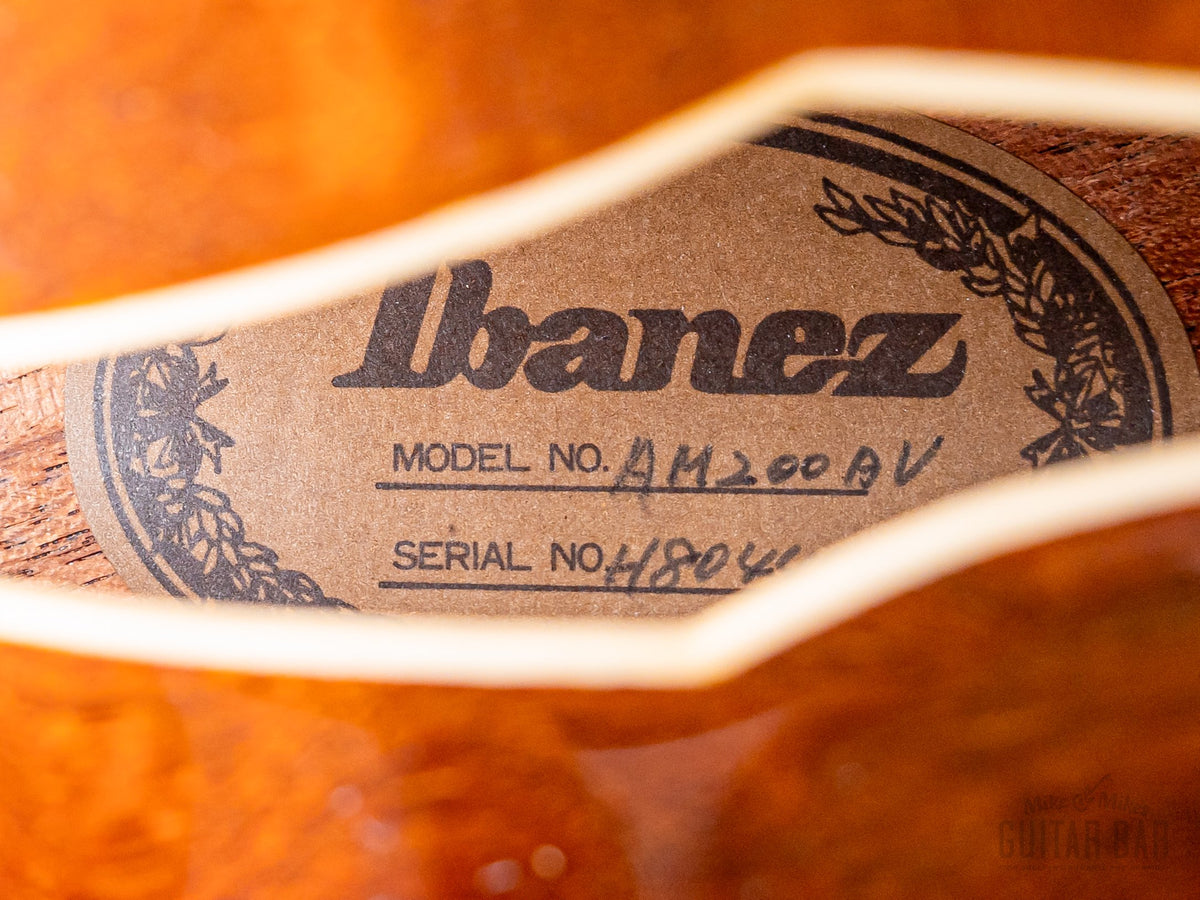 Ibanez AM200 interior label through f-hole
