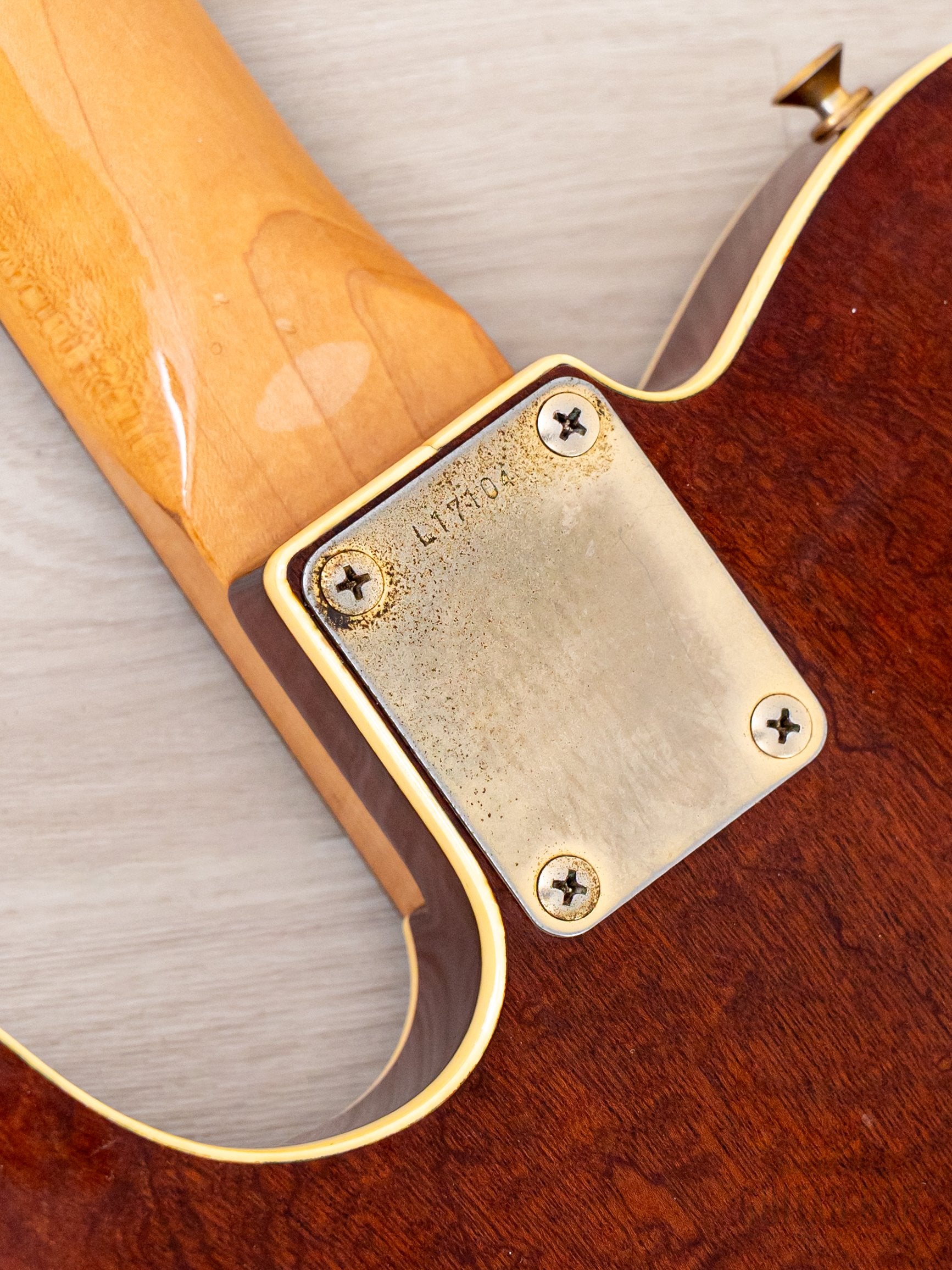 1984 Tokai Breezysound TTE60 TM T-Style Custom Vintage Guitar Tortoise