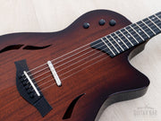 Taylor T5z top close-up with controls, pickup and bridge