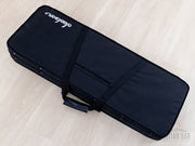 Jackson Virtuoso case