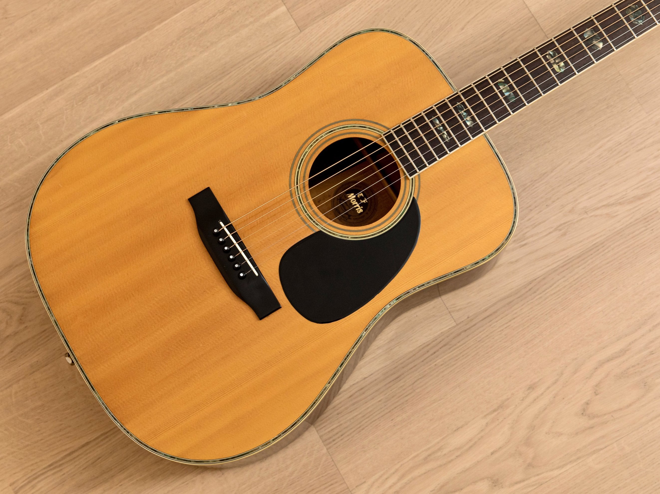 MORRIS acoustic guitar - 器材